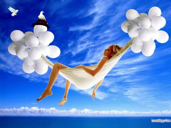 Miscellaneous_9999388