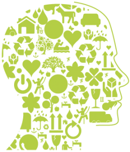 Hoofd-Bewust-in-het-leven1